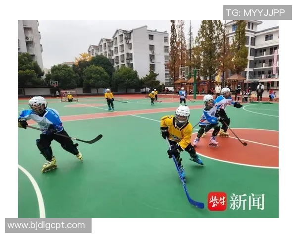 “魅力江苏 最美体育”·“冬梦金陵”江苏省青少年冰球沙龙联赛暨冰球人才选拔技术查核满意闭幕